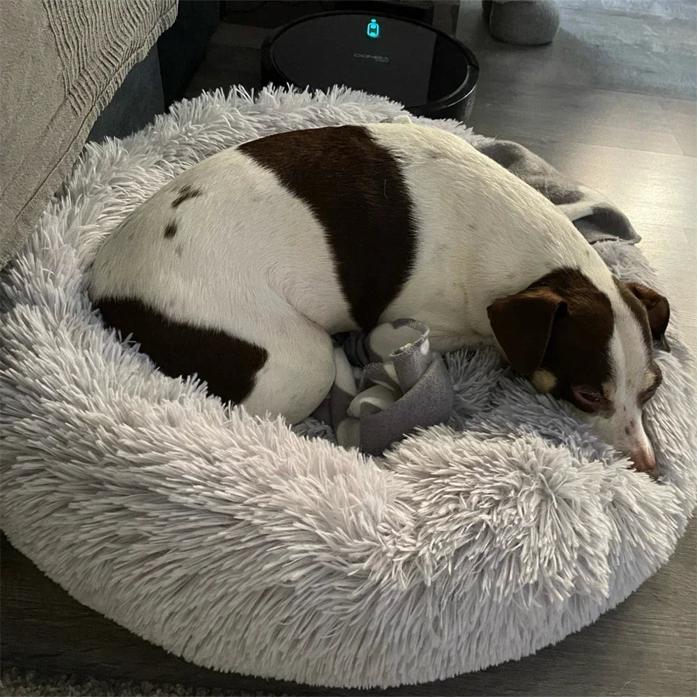 Animalsmooth™️ RoundPAD bed