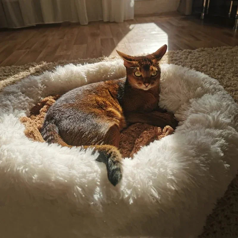 Animalsmooth™️ RoundPAD bed